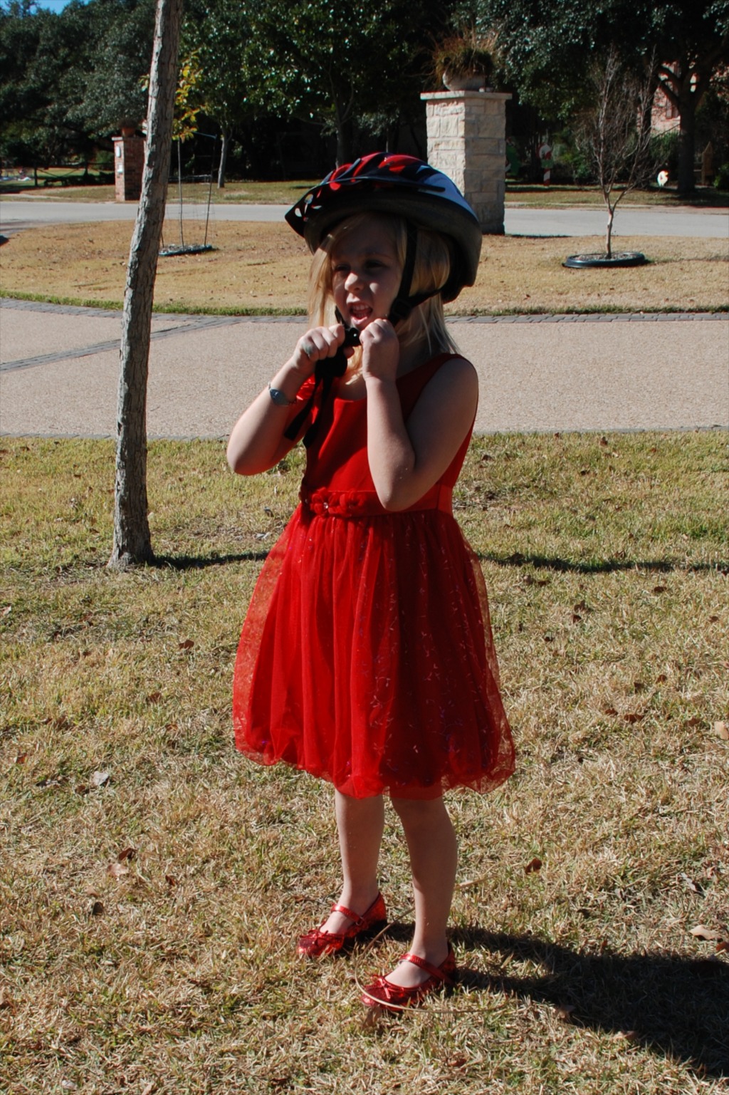 2013-12-23 13-22-42 Hildebrand Christmas.jpg